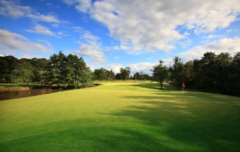 12th hole at The Marriott Forest of Arden
