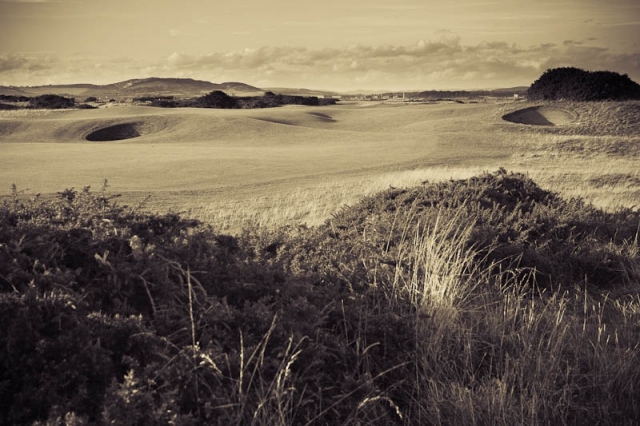 5th hole green Old Course copyright Evan Wilson view of the par five 5th hole at Old Course St Andrews