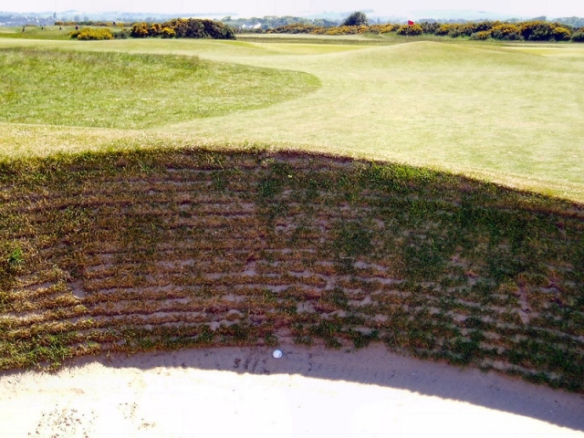 bunkered st andrews old copyright carole waller